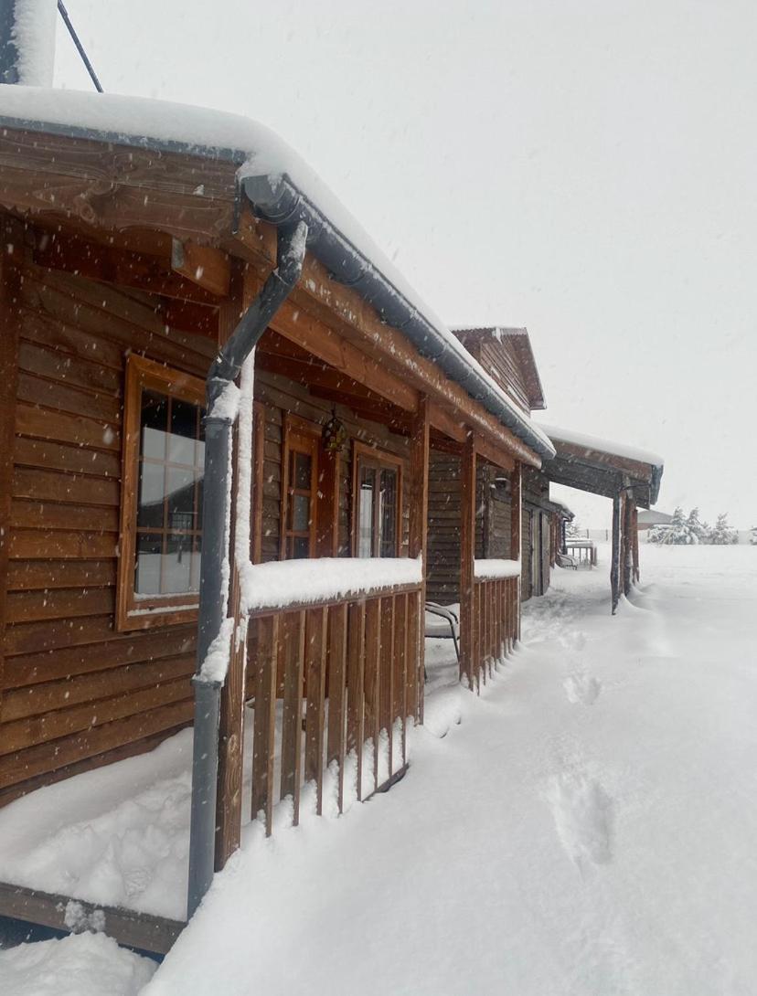 Appartamento Dorotea Vista Puerto Natales Esterno foto